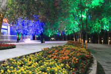 興慶宮大劇院夜景