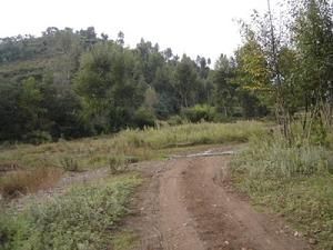 張家地自然村 張家地自然村