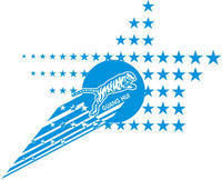 新疆廣匯實業投資(集團)有限責任公司 新疆廣匯實業投資(集團)有限責任公司