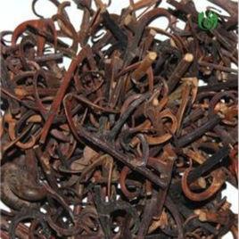 白朮焦山楂 白朮焦山楂