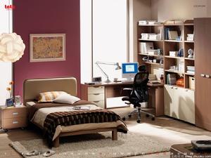 美國普爾特房屋公司