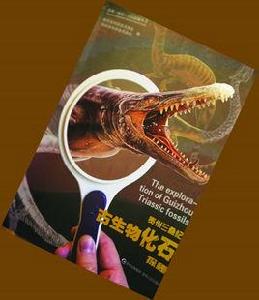 貴州三疊紀古生物化石探秘 貴州三疊紀古生物化石探秘
