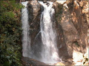 納板河自然保護區