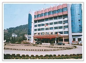 元立集團 元立集團