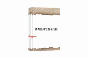 神奇寶貝之奮鬥歷程 神奇寶貝之奮鬥歷程