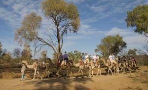 艾麗斯泉 艾麗斯泉