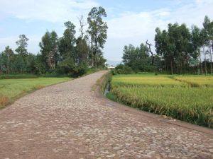 小後廠村 小後廠村