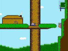 尋找蝸牛 尋找蝸牛