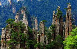 張家界[張家界國家森林公園]