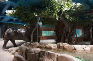 湖州長興南太湖海洋公園 湖州長興南太湖海洋公園