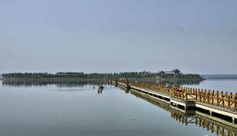 山東單縣浮龍湖國家濕地公園 山東單縣浮龍湖國家濕地公園