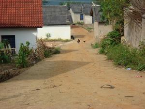 芒卡大窪自然村