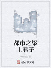 都市之梁上君子 都市之梁上君子