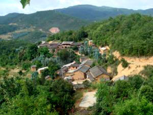 王家沖村 王家沖村