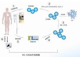 免疫療法 免疫療法