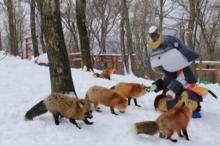 狐狸村[日本宮城縣白石市西北部村莊]