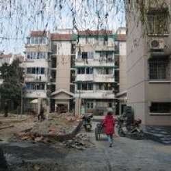 金秋花園 金秋花園