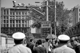 聲吶抓拍 聲吶抓拍