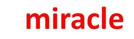 miracle[英語單詞]