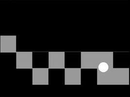 藏身大挑戰 藏身大挑戰