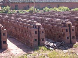 柿子樹村 柿子樹村