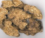 調胃和中湯 調胃和中湯