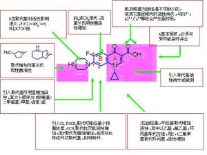 構效關係 構效關係