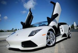  Murcielago