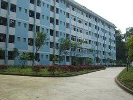 西南大學育才學院音樂學院 西南大學育才學院音樂學院