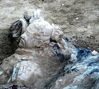 （圖）秦俑一號