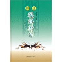 圖說蟋蟀將軍 圖說蟋蟀將軍