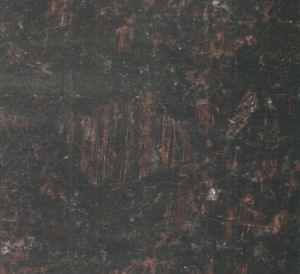 英國棕-1 | Tan Brown |