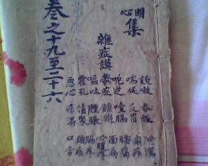 醫學集成 醫學集成