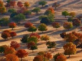 和平鎮[內蒙古開魯縣和平鎮]