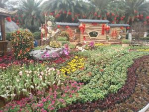 馬草江生態公園 馬草江生態公園