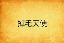 掉毛天使 掉毛天使