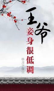 王爺妾身很低調 王爺妾身很低調