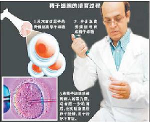 骨髓生育 骨髓生育