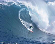衝浪板[運動器材]