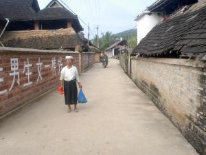 思茅寨村 思茅寨村