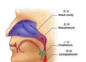 鼻窒病 鼻窒病