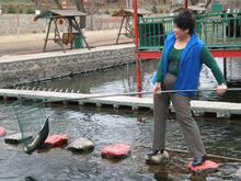 楊淑清[全國勞動模範]