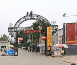 馬莊村[河北省保定市北市區馬莊村]