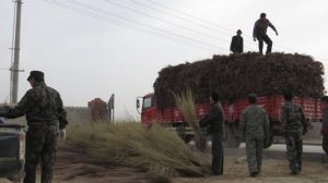 鐵乾里克鄉 鐵乾里克鄉