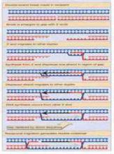 雙鏈斷裂重組模型