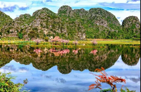 普者黑20000畝荷花花開成海!好想私奔去這個詩意田園,小住三兩天!