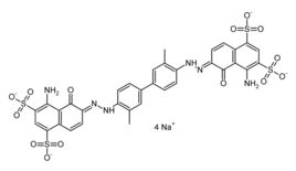 伊文思藍 伊文思藍