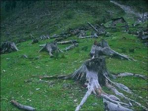 氣候惡化 氣候惡化