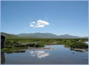 青海玉樹縣隆寶灘自然保護區