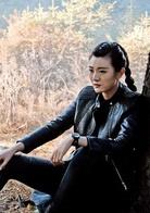 藏地密碼[2016年阿里出品改編自製劇]